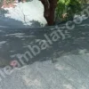 dut-filesi-75lik-yesil-duz-kapak