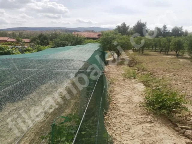 sera-ustu-golgelik-40lik-yesil-duz-2